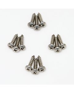 Chevy Truck Door Sill Plate Screw Set, 1960-1966
