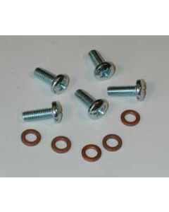 Gas Tank Sending Unit Screws,49-60