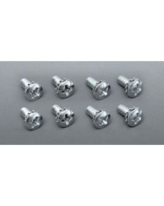 Chevy Door Hinge Screw Set, 1955-1957