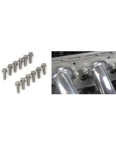 LS Stainless Header Bolts, Set of 12