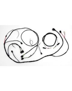 Full Size Chevy Headlight & Alternator Conversion Wiring Harness, V8,1960