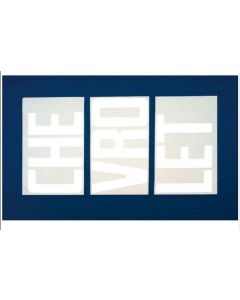 1967-72 Chevy Truck Tailgate Letters White Fleet Side