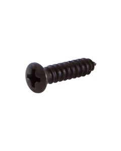 Chevy or GMC Truck Headliner Screw Kit 10 Piece 1947-1954