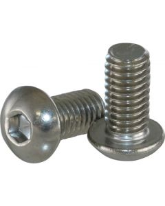 Chevy-GMC Truck Button Hood Hinge Bolt Kit, Stainless