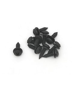 Chevy-GMC Truck Glove Box Screws, 10 Piece Set