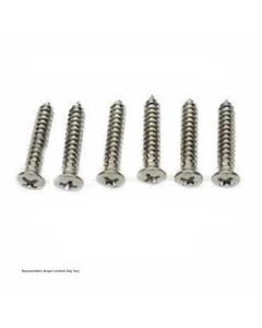 1947-1953 Chevy-GMC Truck Headlight Bezel Screw Kit, Unplated Stainless Steel