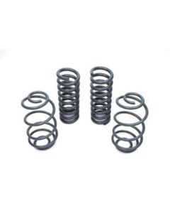 1967-1972 Chevelle Hotchkis Performance Springs Set, Big Block