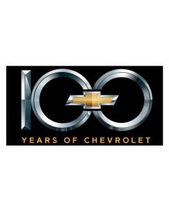 Black Metal Sign, 100th, 24" x 12"