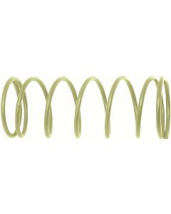 Nova Fuel Filter Spring, 1966-1972