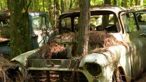 Chevy-truck-with-tree